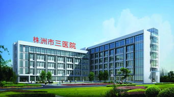 株洲市三醫院 微創技術開啟新篇章，賦能新材料技術開發服務